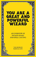 You Are A Great And Powerful Wizard: An Overview of Human Magic and Spell Casting; how we create reality through our every action.